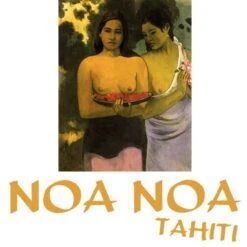 24 Sachets De The Noa Noa Tahiti 4 Parfums Boite Carton -Naturel Boutique 24 sachets de the noa noa tahiti 4 parfums boite carton 2