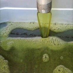 4 Huiles Vierges Tamanu 30ml (dont 1 Gratuit) Tevi Raiatea 16 4 Huiles Vierges Tamanu 30ml (dont 1 Gratuit) Tevi Raiatea -Naturel Boutique 4 huiles vierges tamanu 30ml dont 1 gratuit tevi raiatea 6