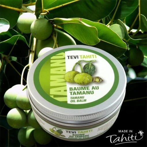 Baume De Tamanu Tahiti 100% Naturel Tevi Raiatea 60ml -Naturel Boutique baume de tamanu tahiti 100 naturel tevi raiatea 60ml