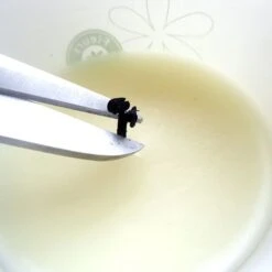 Bougie Au Monoi Parfumee Aux Fleurs De Tiare Tahiti 180g -Naturel Boutique bougie au monoi parfumee aux fleurs de tiare tahiti 180g 3