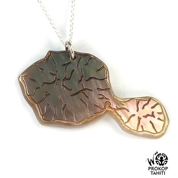 Chaine Argent Pendentif Nacre Prokop Medaillon Tahiti Ctb2 3 Chaine Argent Pendentif Nacre Prokop Medaillon Tahiti Ctb2