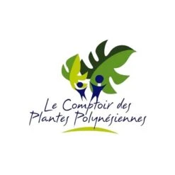 Coco Creme Visage A L'huile De Coco Vierge Tikehau 50mL 8 Coco Creme Visage A L'huile De Coco Vierge Tikehau 50mL -Naturel Boutique coco creme visage a l huile de coco vierge tikehau 50ml 2