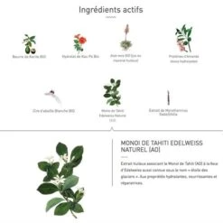 Eq Bio Creme Visage Cold Cream Monoi Edelweiss 50ml -Naturel Boutique eq bio creme visage cold cream monoi edelweiss 50ml 2