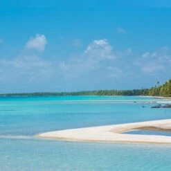 Fleur De Sel Tuamotu Avec Citron Des Iles 60g Tahiti Sel -Naturel Boutique fleur de sel tuamotu avec citron des iles 60g tahiti sel 4