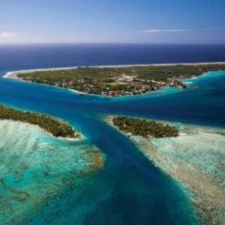 Huile De Tamanu Tahiti Extra Vierge Rangiroa 75 ML 8 Huile De Tamanu Tahiti Extra Vierge Rangiroa 75 ML -Naturel Boutique huile de tamanu tahiti extra vierge rangiroa 75 ml 2