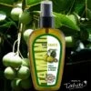 Huile Vierge De Tamanu 125ml Spray Tevi Raiatea 2 Huile Vierge De Tamanu 125ml Spray Tevi Raiatea -Naturel Boutique huile vierge de tamanu 125ml spray tevi raiatea