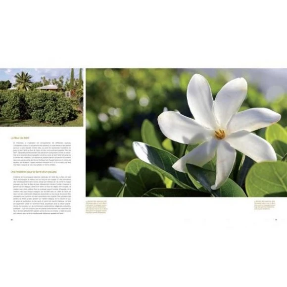 La Route Du Monoi Livre 160 Pages C.dubois 5 La Route Du Monoi Livre 160 Pages C.dubois – Image 3