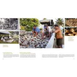 La Route Du Monoi Livre 160 Pages C.dubois 12 La Route Du Monoi Livre 160 Pages C.dubois -Naturel Boutique la route du monoi livre 160 pages cdubois 4