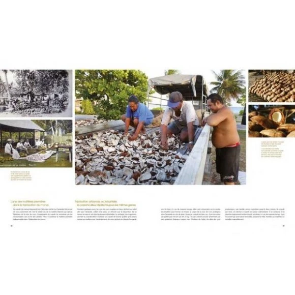 La Route Du Monoi Livre 160 Pages C.dubois 7 La Route Du Monoi Livre 160 Pages C.dubois – Image 5