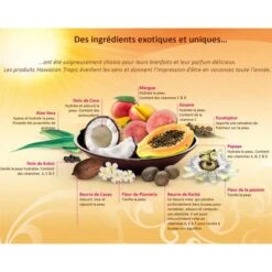 Lot 4 Huiles Bronzantes Dark 200ml Hawaiian Tropic (dont 1 Gratuit) 11 Lot 4 Huiles Bronzantes Dark 200ml Hawaiian Tropic (dont 1 Gratuit) -Naturel Boutique lot 4 huiles bronzantes dark 200ml hawaiian tropic 4