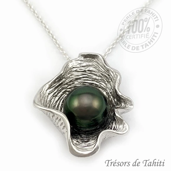 Pendentif Perle De Tahiti Coquillage Chaine Argent TT383 3 Pendentif Perle De Tahiti Coquillage Chaine Argent TT383