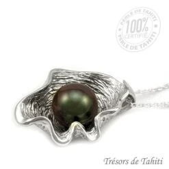 Pendentif Perle De Tahiti Coquillage Chaine Argent TT413