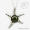 Pendentif Perle De Tahiti Etoile De Mer Chaine Argent TT396 1 Pendentif Perle De Tahiti Etoile De Mer Chaine Argent TT396 -Naturel Boutique pendentif perle de tahiti etoile de mer chaine argent tt396