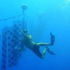 Pendentif Perle De Tahiti Semi Ronde Chaine Argent TT398 13 Pendentif Perle De Tahiti Semi Ronde Chaine Argent TT398 -Naturel Boutique pendentif perle de tahiti semi ronde chaine argent tt398 4