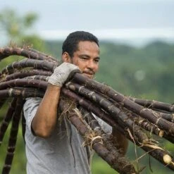 Rhum Paille Bio 43° Mana'o Tahiti 70cl 15 Rhum Paille Bio 43° Mana'o Tahiti 70cl -Naturel Boutique rhum paille bio 43 mana o tahiti 70cl 4