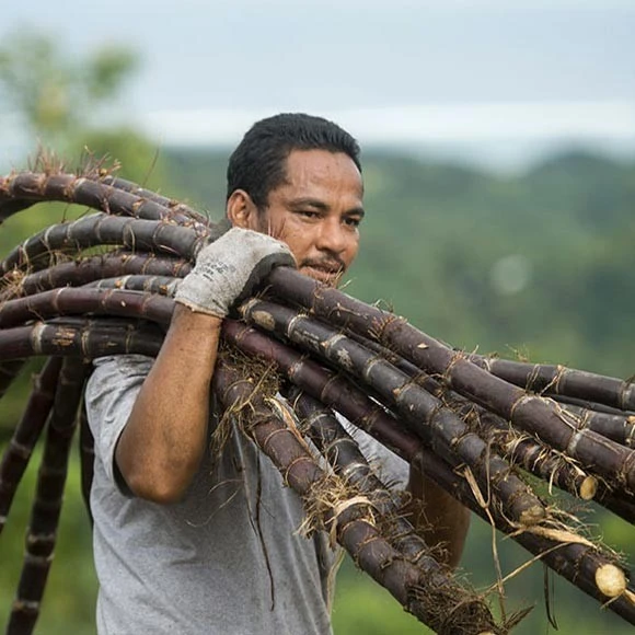 Rhum Paille Bio 43° Mana'o Tahiti 70cl 7 Rhum Paille Bio 43° Mana'o Tahiti 70cl – Image 5