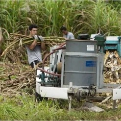 Rhum Paille Bio 43° Mana'o Tahiti 70cl 16 Rhum Paille Bio 43° Mana'o Tahiti 70cl -Naturel Boutique rhum paille bio 43 mana o tahiti 70cl 5