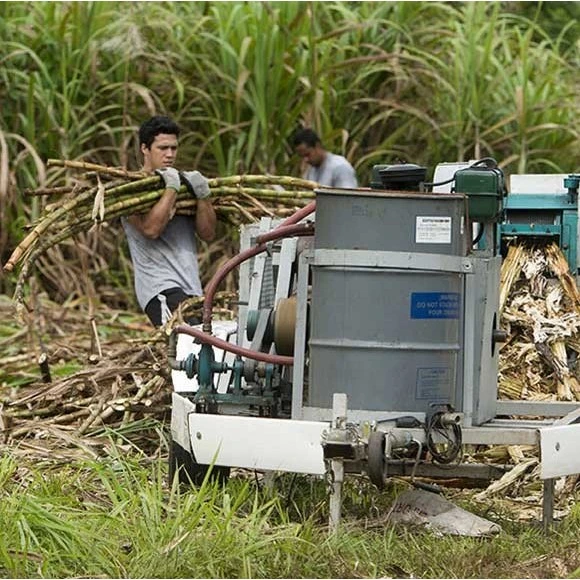 Rhum Paille Bio 43° Mana'o Tahiti 70cl 8 Rhum Paille Bio 43° Mana'o Tahiti 70cl – Image 6