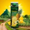 Rotui 100% Pur Jus D'ananas Moorea Tahiti 1 Litre 2 Rotui 100% Pur Jus D'ananas Moorea Tahiti 1 Litre -Naturel Boutique rotui 100 pur jus d ananas moorea tahiti 1 litre