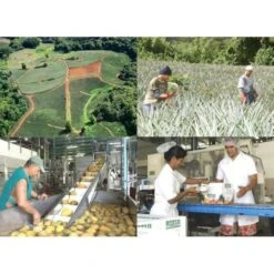 Rotui 100% Pur Jus D'ananas Moorea Tahiti 1 Litre 11 Rotui 100% Pur Jus D'ananas Moorea Tahiti 1 Litre -Naturel Boutique rotui 100 pur jus d ananas moorea tahiti 1 litre 3